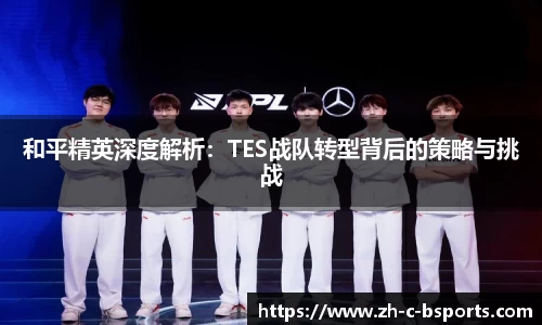 和平精英深度解析：TES战队转型背后的策略与挑战